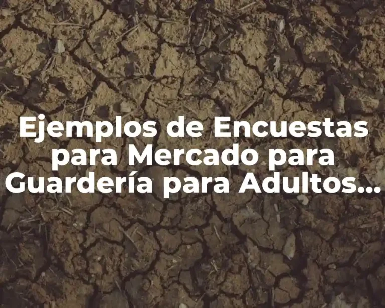Ejemplos de Encuestas para Mercado para Guardería para Adultos Mayores