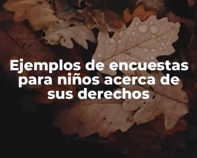 Ejemplos de encuestas para niños acerca de sus derechos