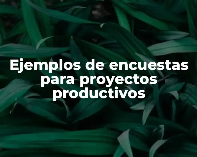 Ejemplos de encuestas para proyectos productivos