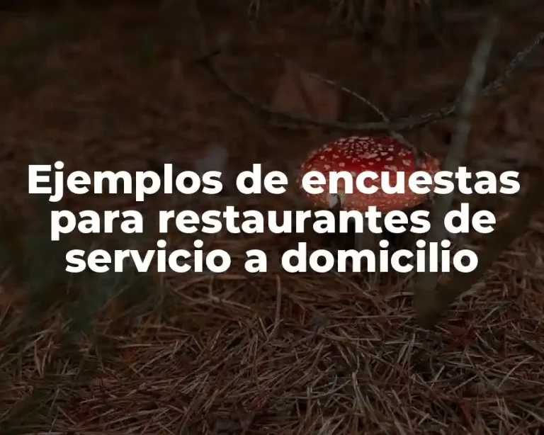 Ejemplos de encuestas para restaurantes de servicio a domicilio