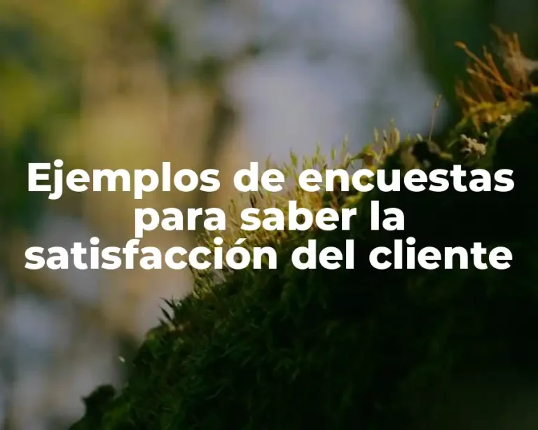 Ejemplos de encuestas para saber la satisfacción del cliente