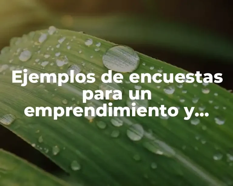 Ejemplos de encuestas para un emprendimiento y Significado