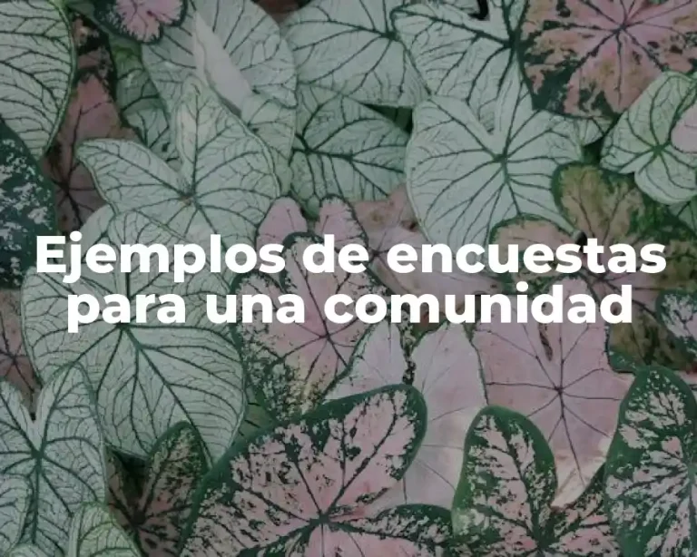 Ejemplos de encuestas para una comunidad
