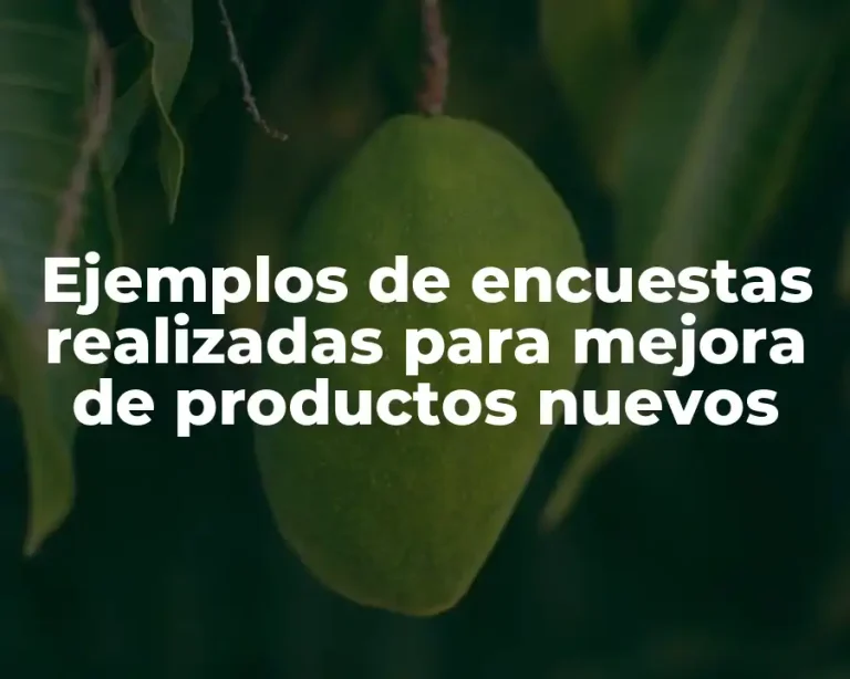 Ejemplos de encuestas realizadas para mejora de productos nuevos