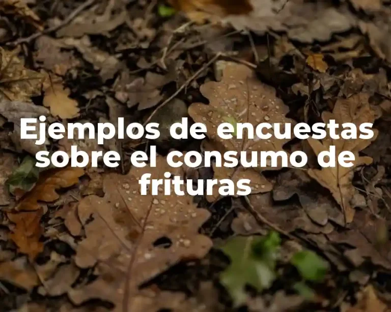 Ejemplos de encuestas sobre el consumo de frituras