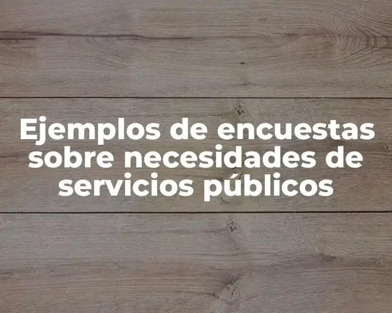 Ejemplos de encuestas sobre necesidades de servicios públicos