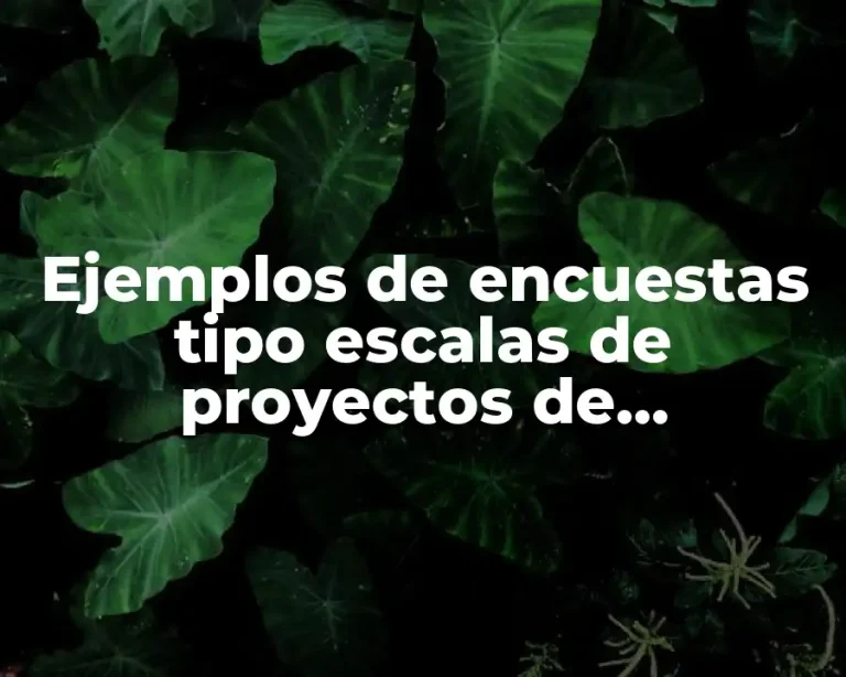 Ejemplos de encuestas tipo escalas de proyectos de investigación