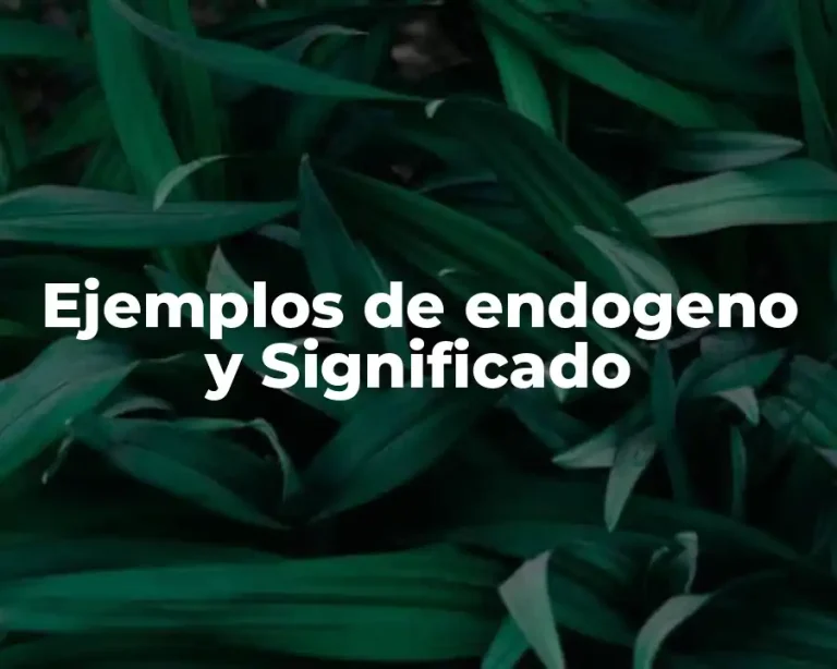 Ejemplos de endogeno y Significado