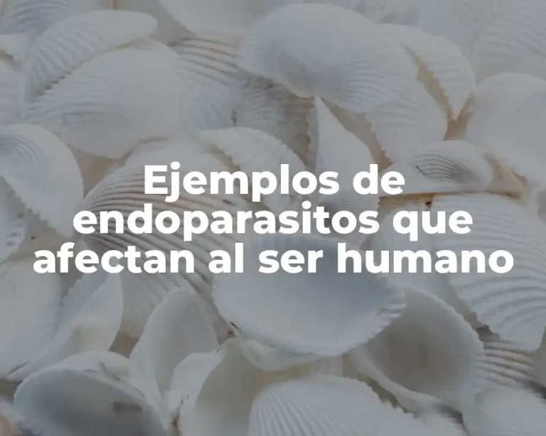 Ejemplos de endoparasitos que afectan al ser humano