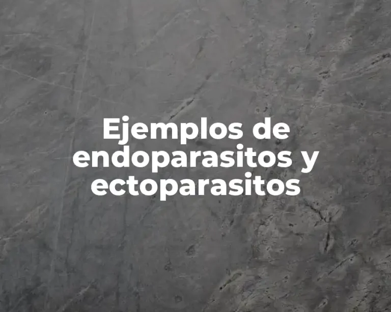 Ejemplos de endoparasitos y ectoparasitos
