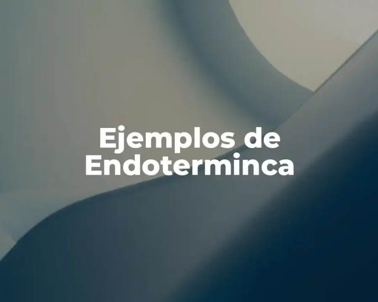 Ejemplos de Endoterminca
