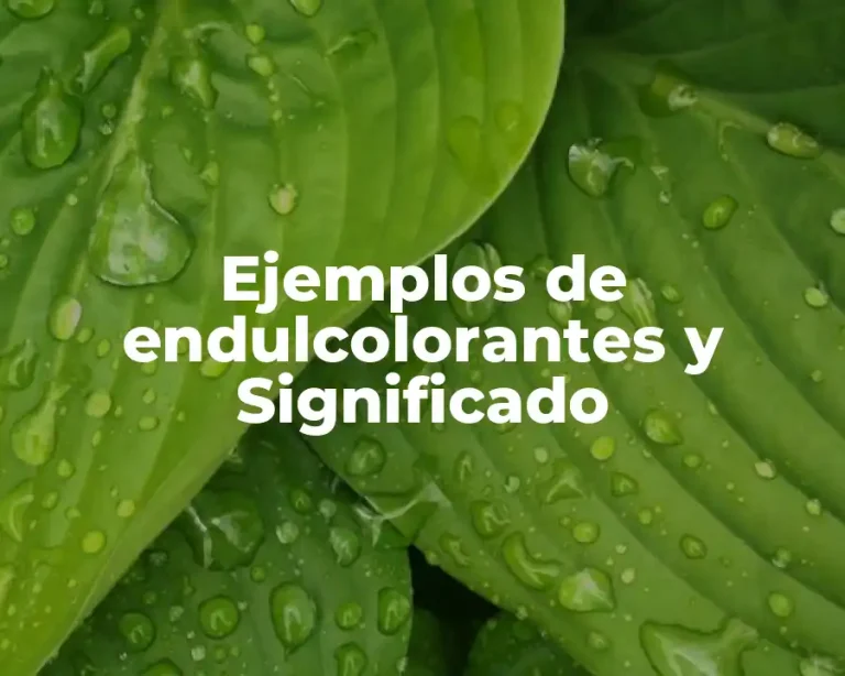 Ejemplos de endulcolorantes y Significado