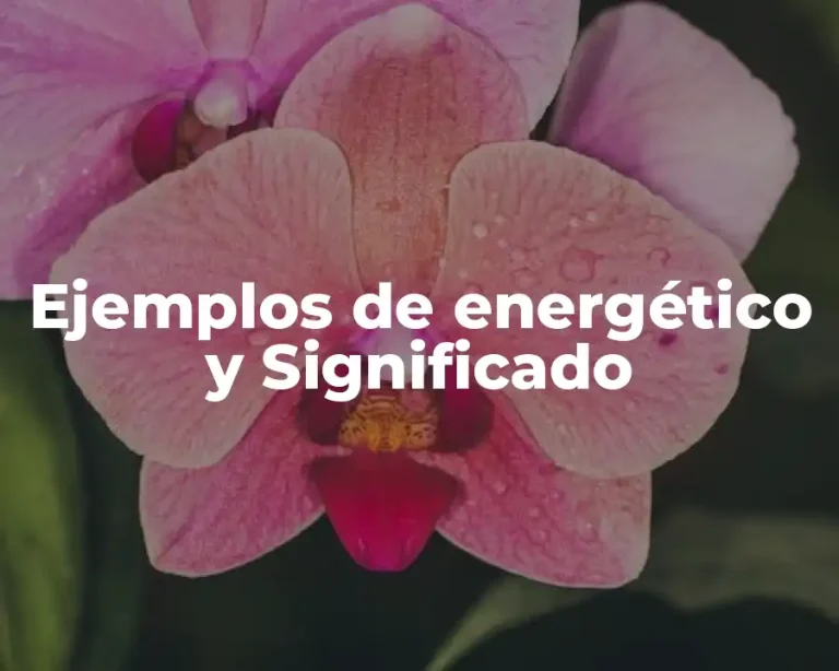 Ejemplos de energético y Significado