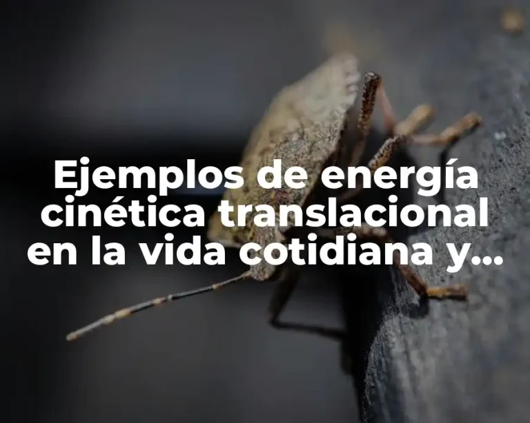 Ejemplos de energía cinética translacional en la vida cotidiana y Significado