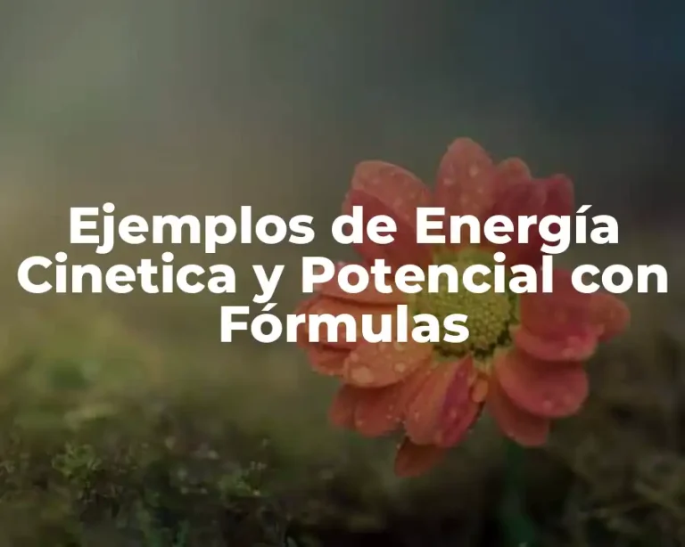 Ejemplos de Energía Cinetica y Potencial con Fórmulas