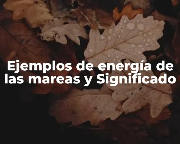 Ejemplos de energía de las mareas y Significado