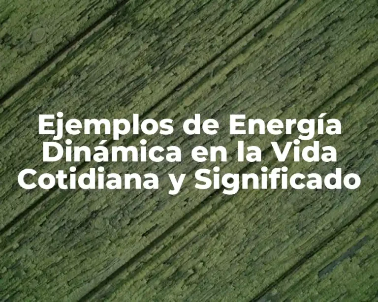 Ejemplos de Energía Dinámica en la Vida Cotidiana y Significado