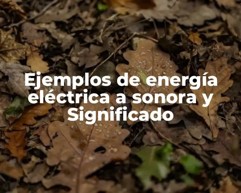 Ejemplos de energía eléctrica a sonora y Significado