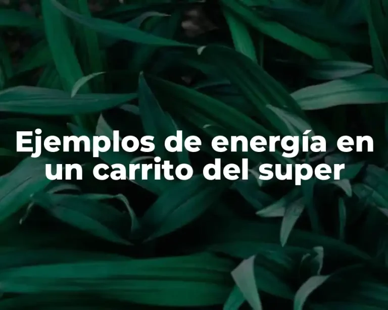 Ejemplos de energía en un carrito del super