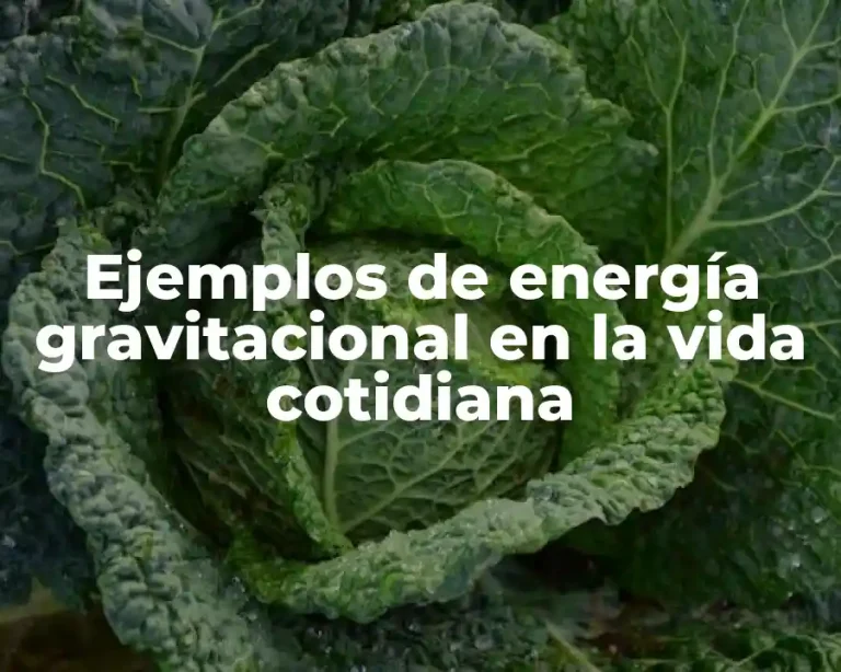 Ejemplos de energía gravitacional en la vida cotidiana