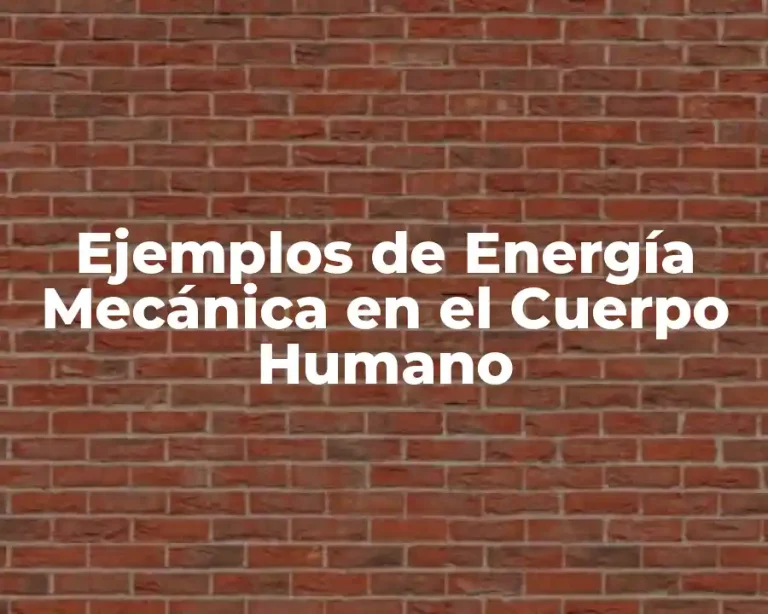 Ejemplos de Energía Mecánica en el Cuerpo Humano