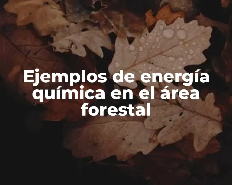 Ejemplos de energía química en el área forestal