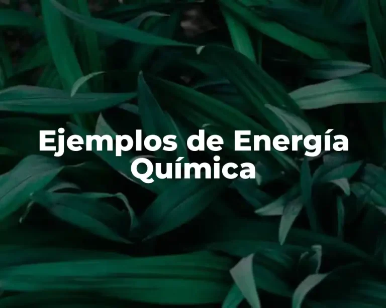 Ejemplos de Energía Química