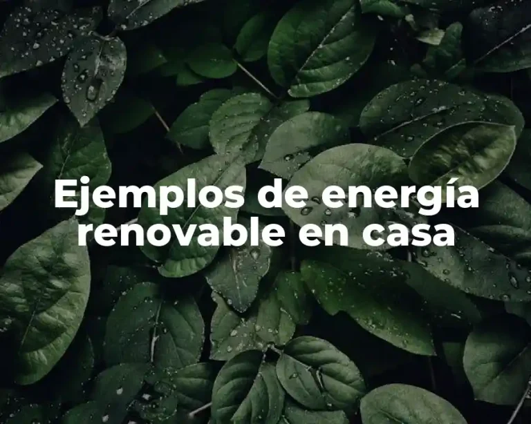 Ejemplos de energía renovable en casa