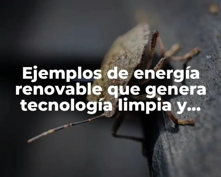 Ejemplos de energía renovable que genera tecnología limpia y Significado