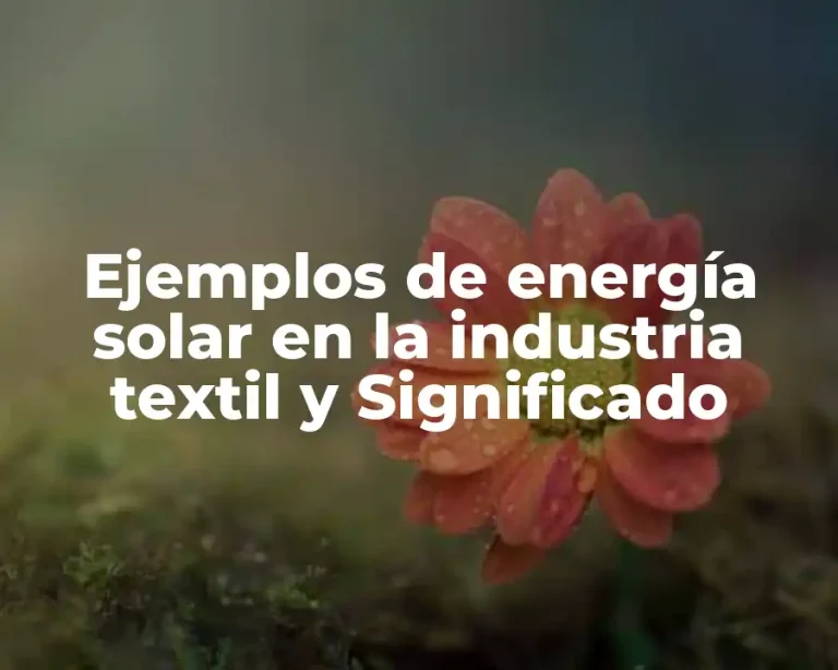 Ejemplos de energía solar en la industria textil y Significado