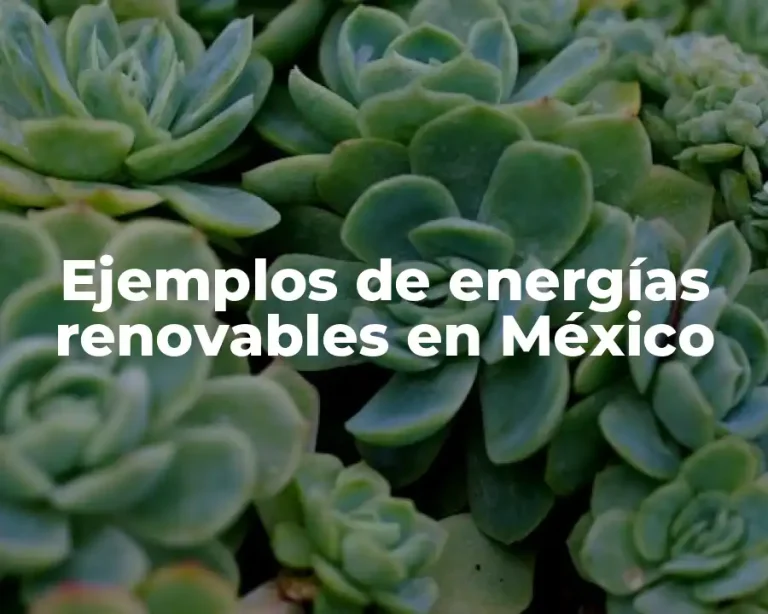 Ejemplos de energías renovables en México