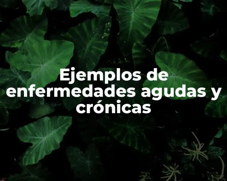 Ejemplos de enfermedades agudas y crónicas