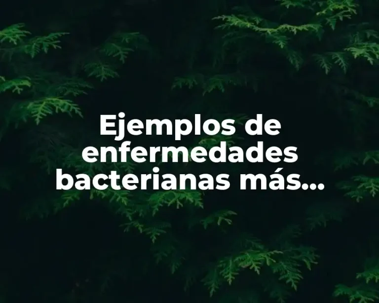 Ejemplos de enfermedades bacterianas más comunes