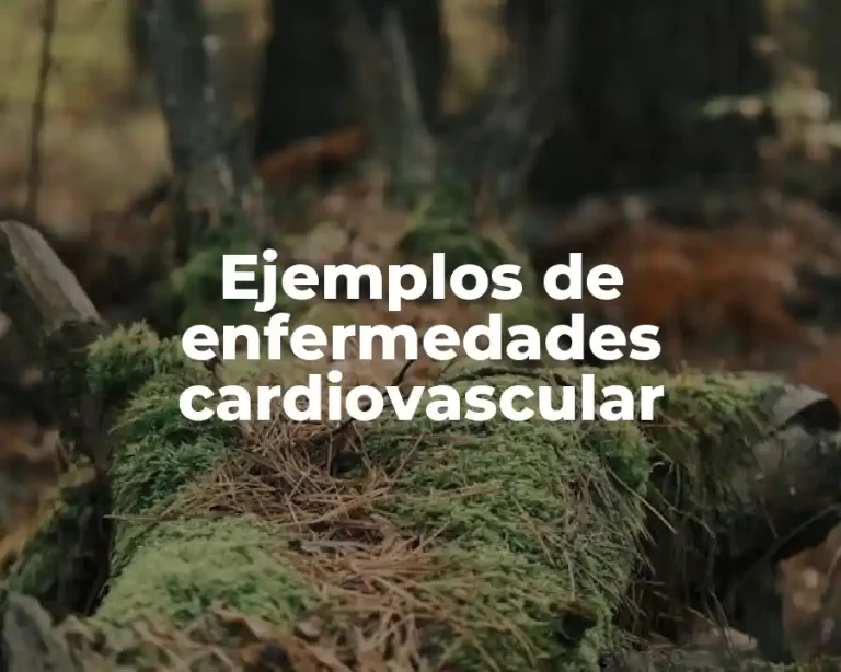 Ejemplos de enfermedades cardiovascular
