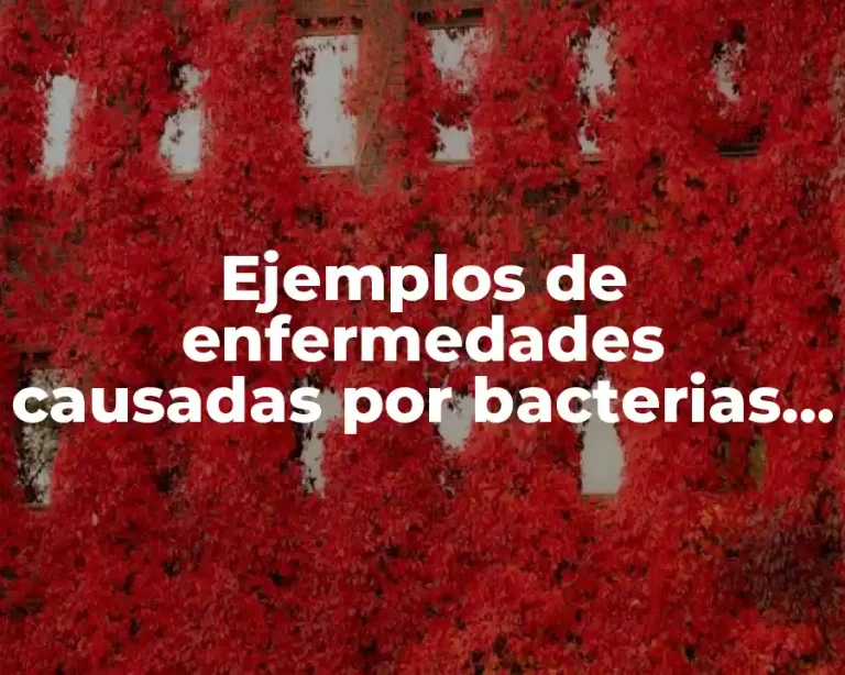 Ejemplos de enfermedades causadas por bacterias y Significado