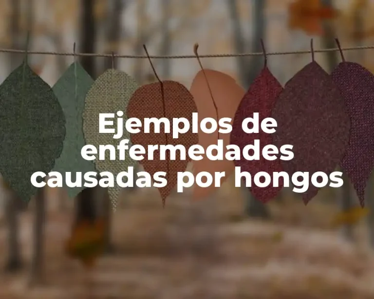 Ejemplos de enfermedades causadas por hongos