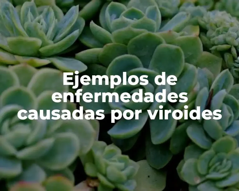 Ejemplos de enfermedades causadas por viroides