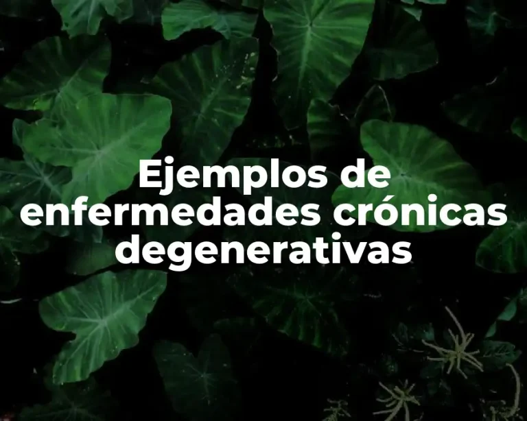 Ejemplos de enfermedades crónicas degenerativas