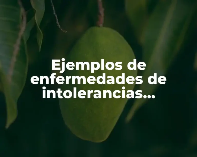 Ejemplos de enfermedades de intolerancias metabólicas al ejercicio y Significado