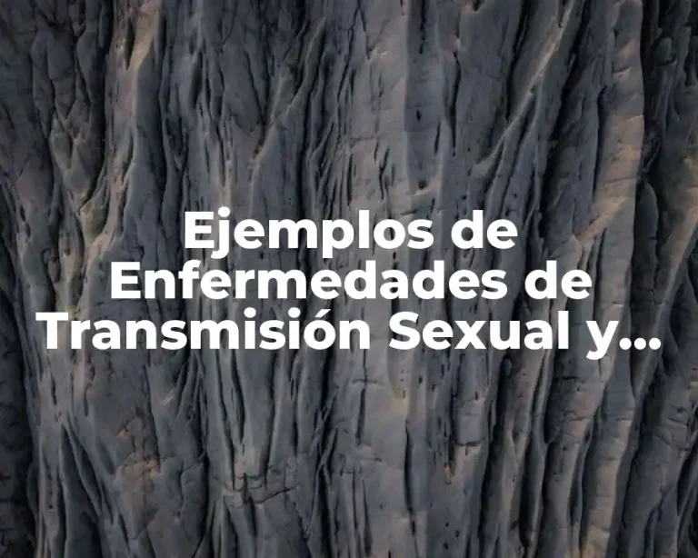 Ejemplos de Enfermedades de Transmisión Sexual y Significado