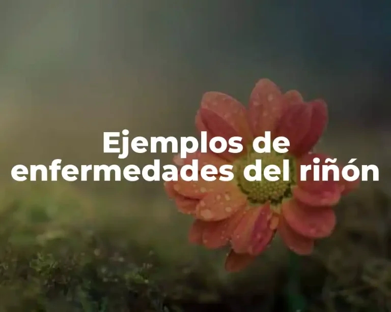 Ejemplos de enfermedades del riñón
