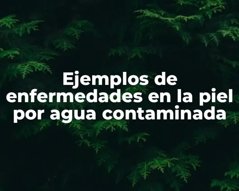 Ejemplos de enfermedades en la piel por agua contaminada