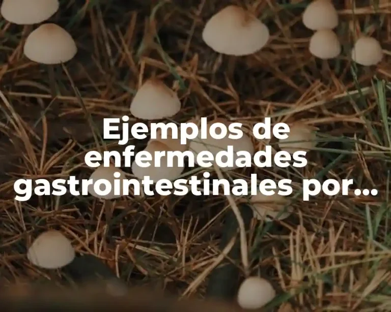 Ejemplos de enfermedades gastrointestinales por falta de agua potable