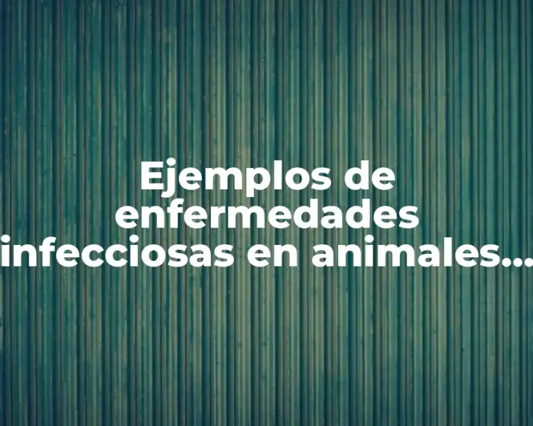 Ejemplos de enfermedades infecciosas en animales y Significado