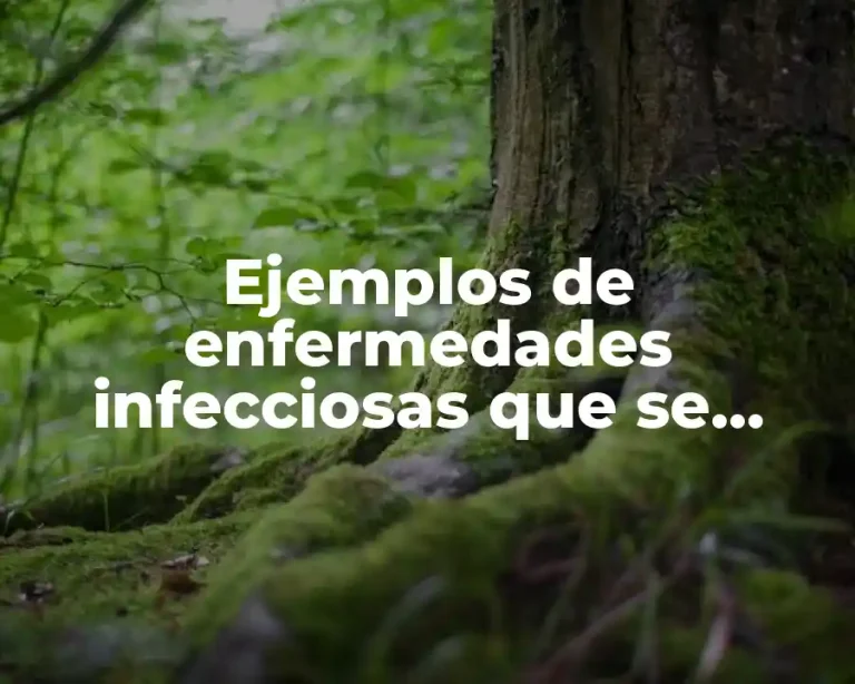 Ejemplos de enfermedades infecciosas que se estudián en microbiología