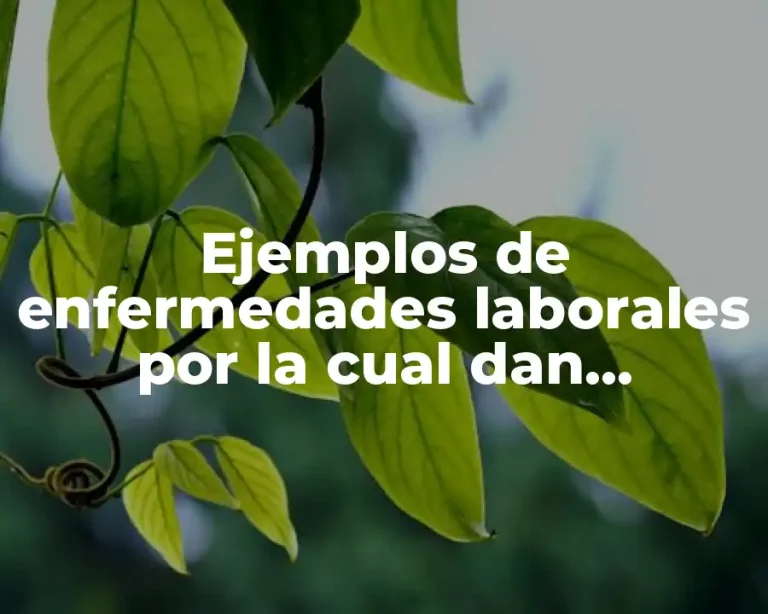 Ejemplos de enfermedades laborales por la cual dan incapacidad total
