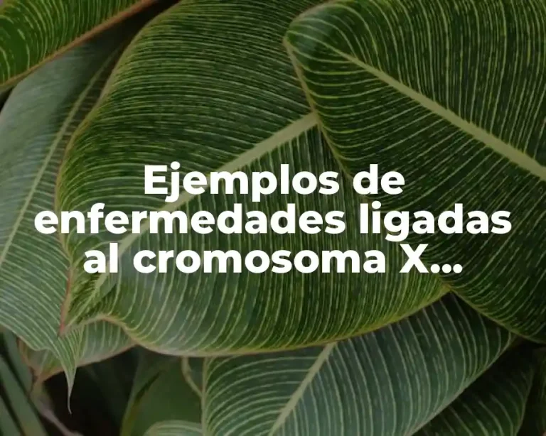 Ejemplos de enfermedades ligadas al cromosoma X recesiva