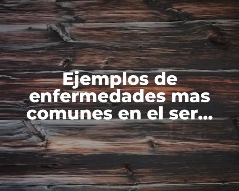 Ejemplos de enfermedades mas comunes en el ser humano