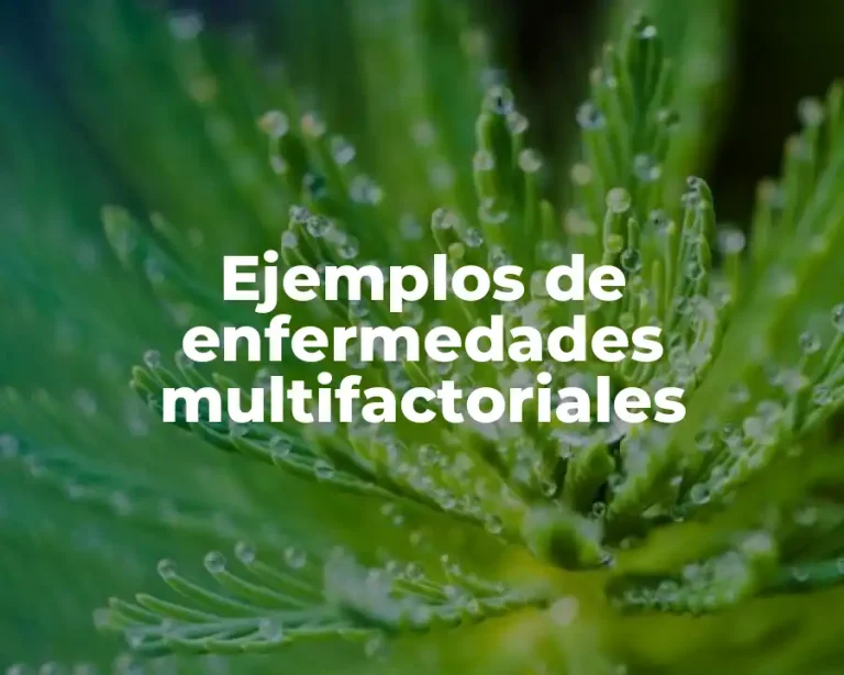 Ejemplos de enfermedades multifactoriales