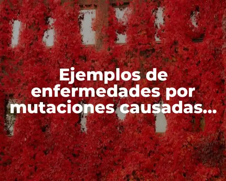 Ejemplos de enfermedades por mutaciones causadas por agentes químicos